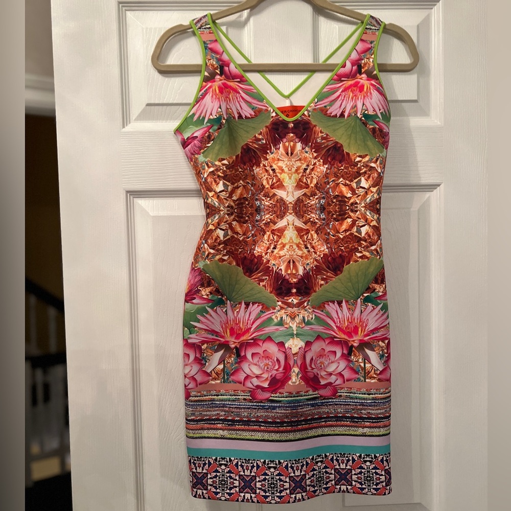 Clover canyon dress